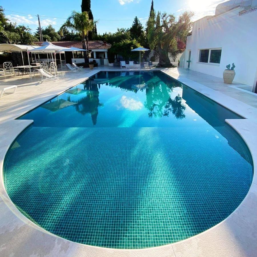 B&B Antico Ulivo โมโนโปลี ภายนอก รูปภาพ